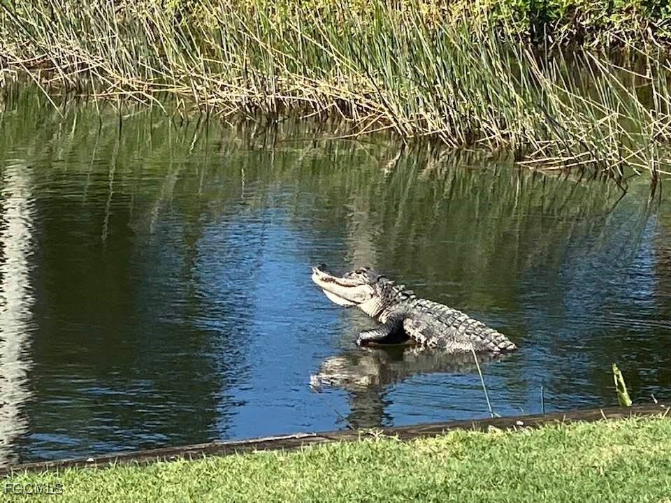 10285 Bismark Palm Way, Unit 1043 Fort Myers, FL 33966 - Photo 28 of 35