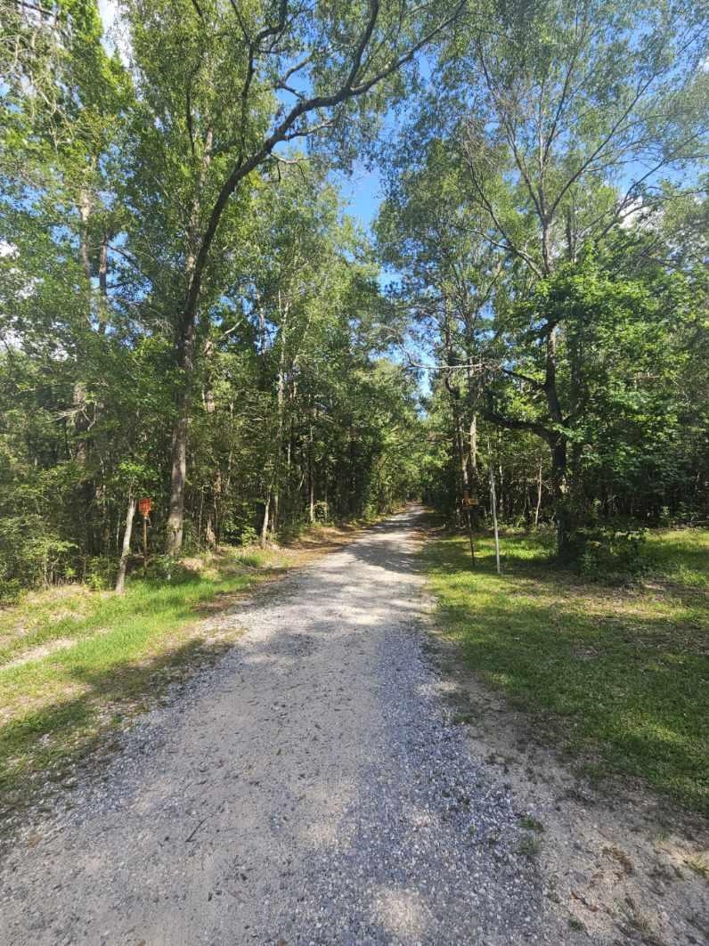 0 Gandy Road Lumberton, TX 77657 - Photo 1 of 5