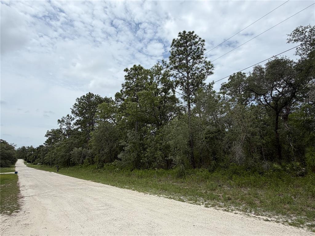 18011 Nutcracker Road Weeki Wachee, FL 34614 - Photo 9 of 10