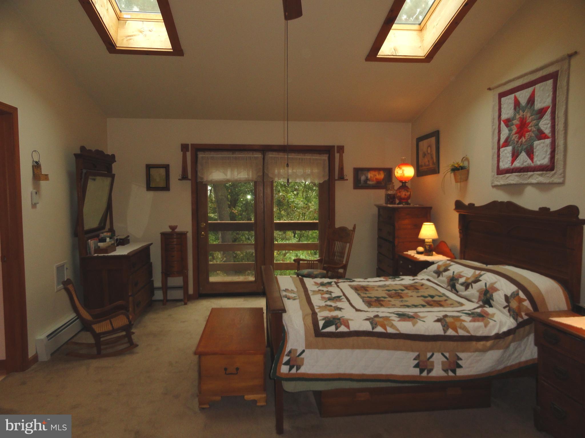 102 Stone Road Barto, PA 19504 - Photo 25 of 49 Main bedroom with vaulted ceiling and skylights