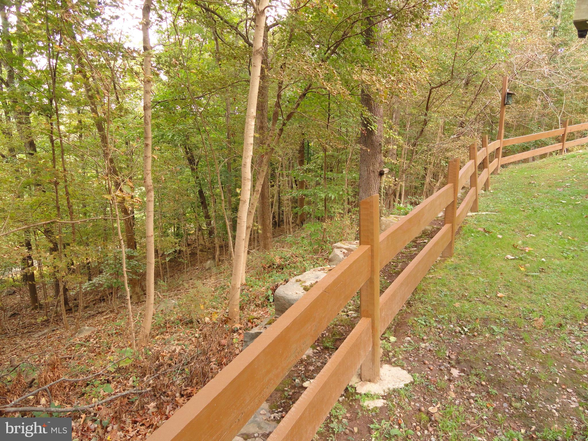 102 Stone Road Barto, PA 19504 - Photo 45 of 49 Rear of lot behind house