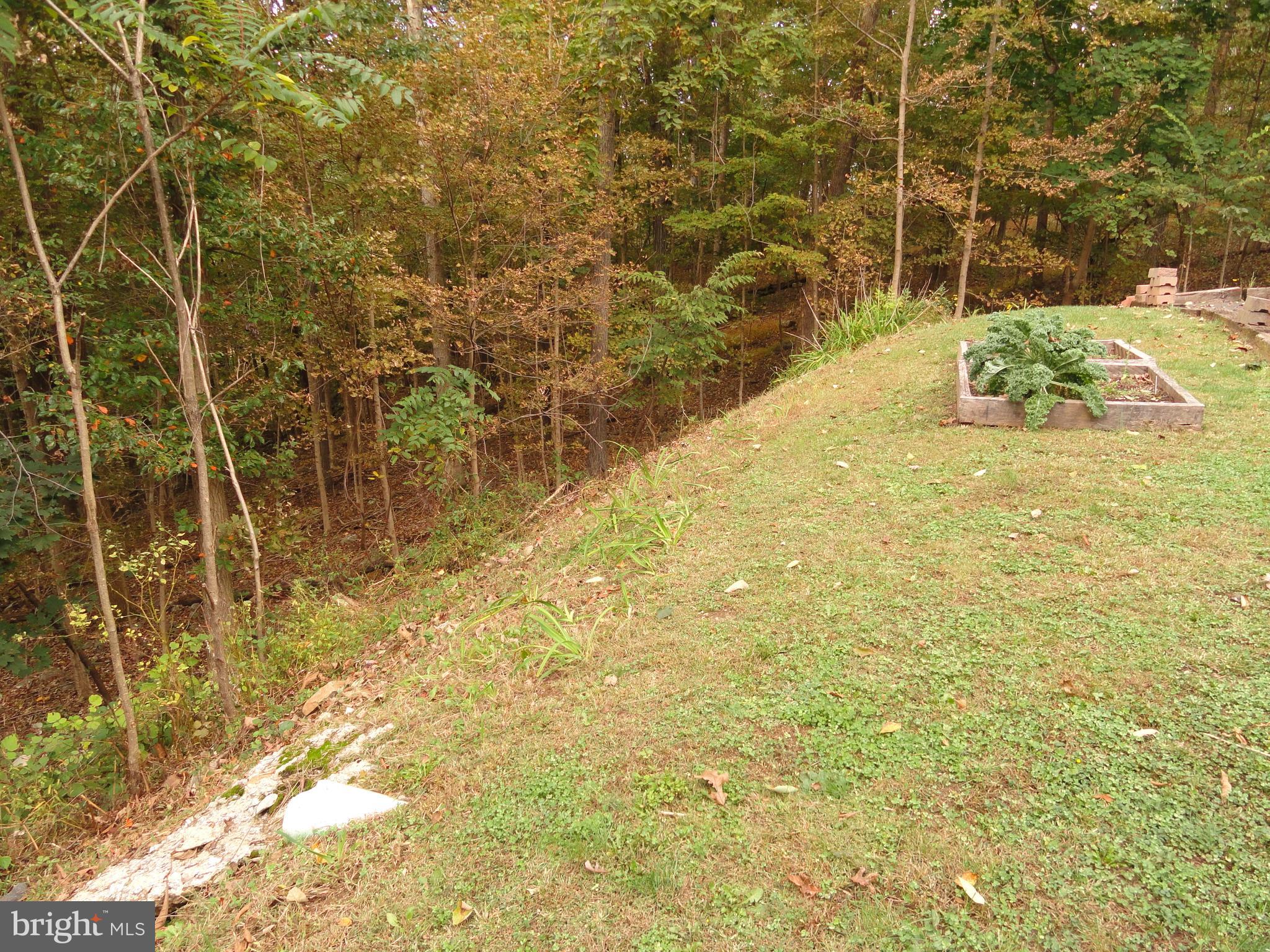 102 Stone Road Barto, PA 19504 - Photo 46 of 49 Rear yard beyond main driveway