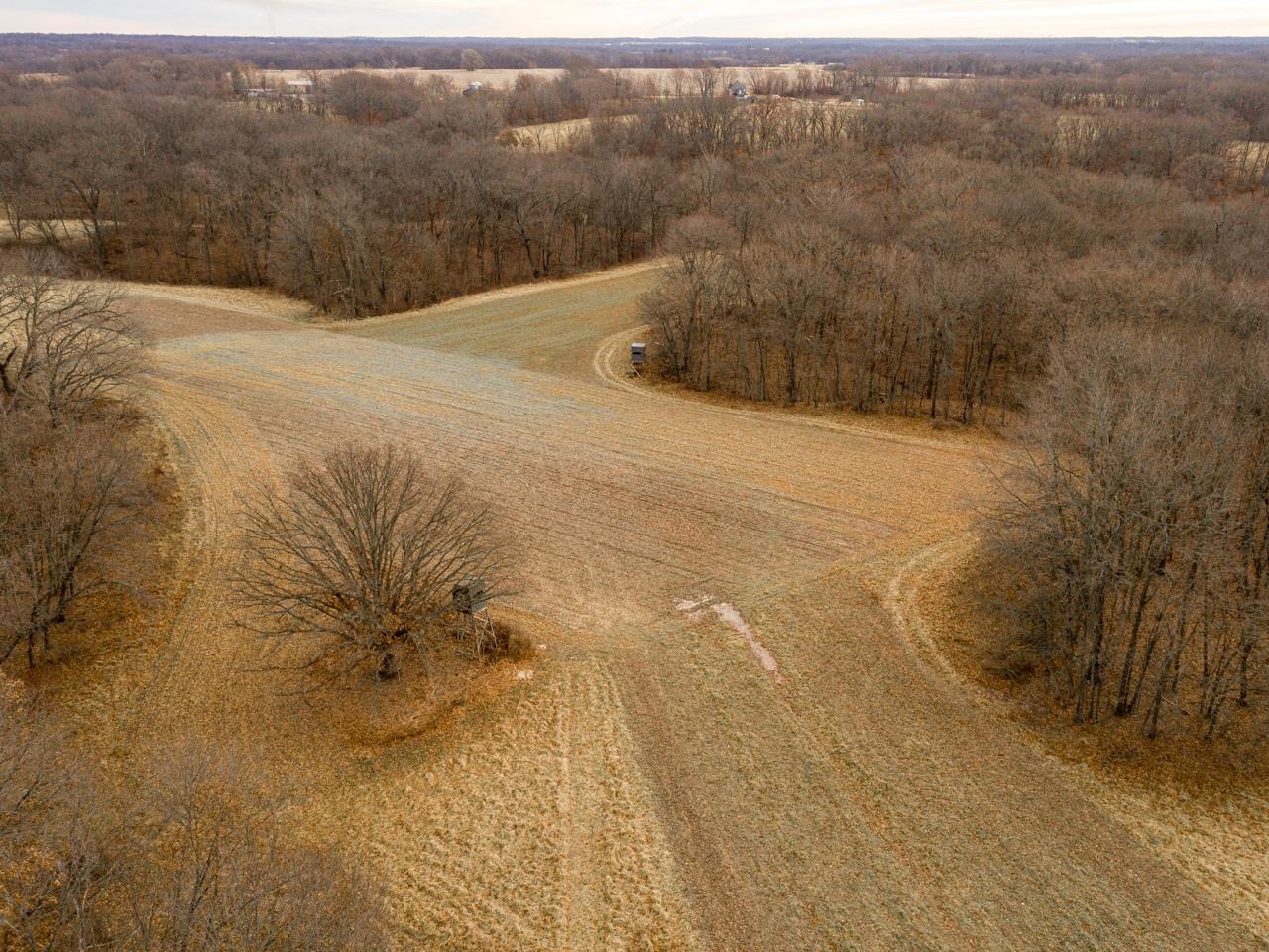 0 Spring Creek Road Camden, IL 62319 - Photo 12 of 50