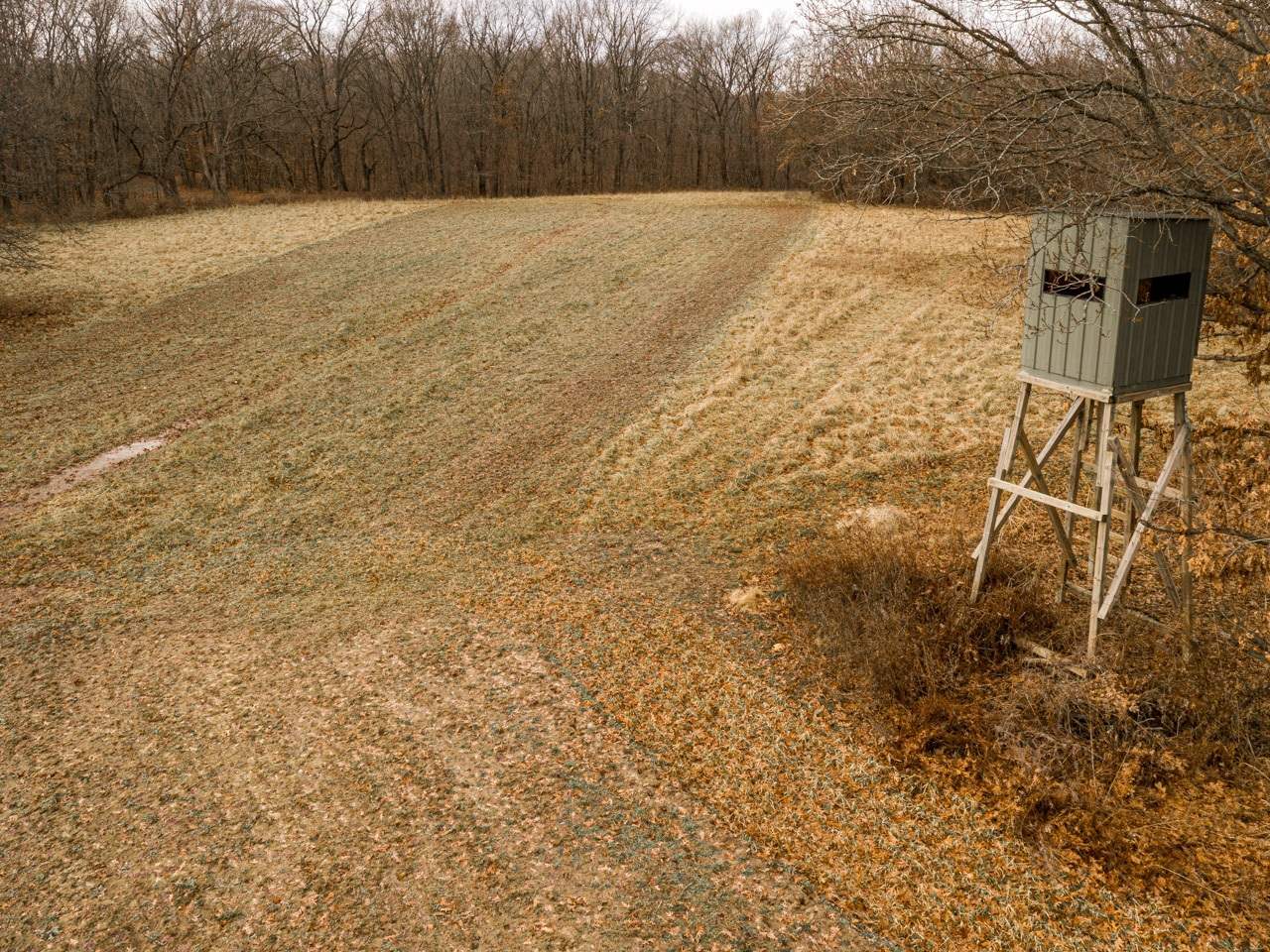 0 Spring Creek Road Camden, IL 62319 - Photo 15 of 50