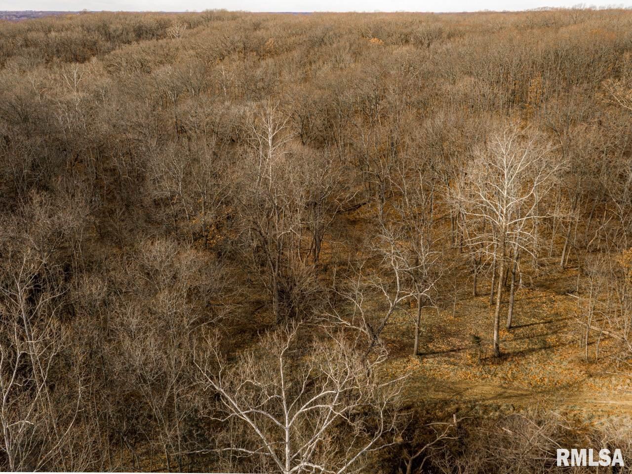 0 Spring Creek Road Camden, IL 62319 - Photo 18 of 50