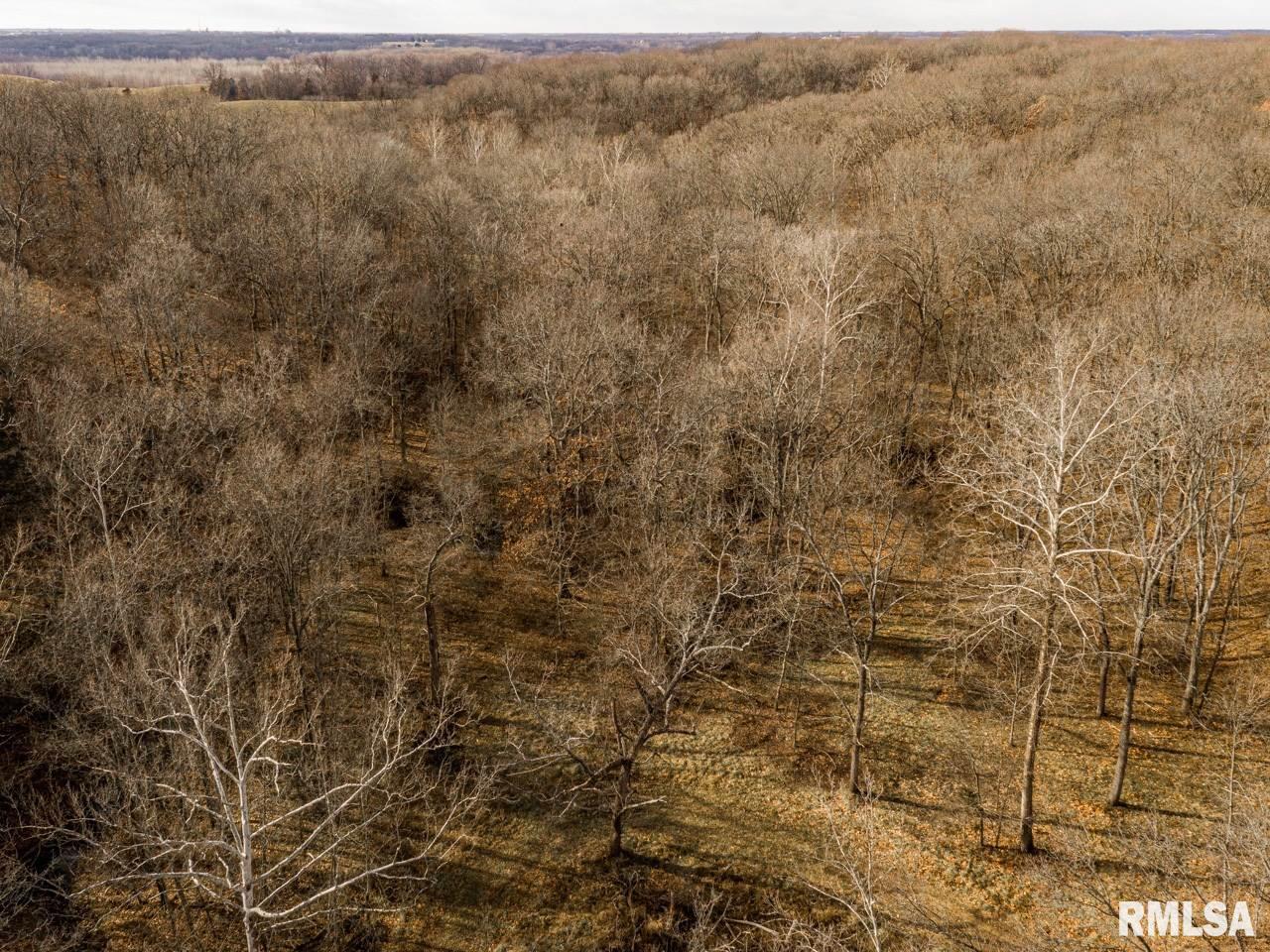 0 Spring Creek Road Camden, IL 62319 - Photo 19 of 50