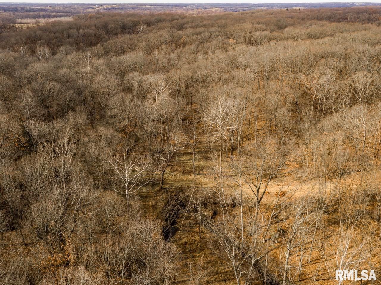 0 Spring Creek Road Camden, IL 62319 - Photo 20 of 50