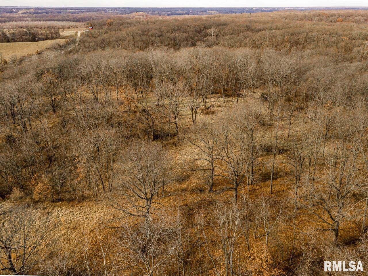 0 Spring Creek Road Camden, IL 62319 - Photo 21 of 50