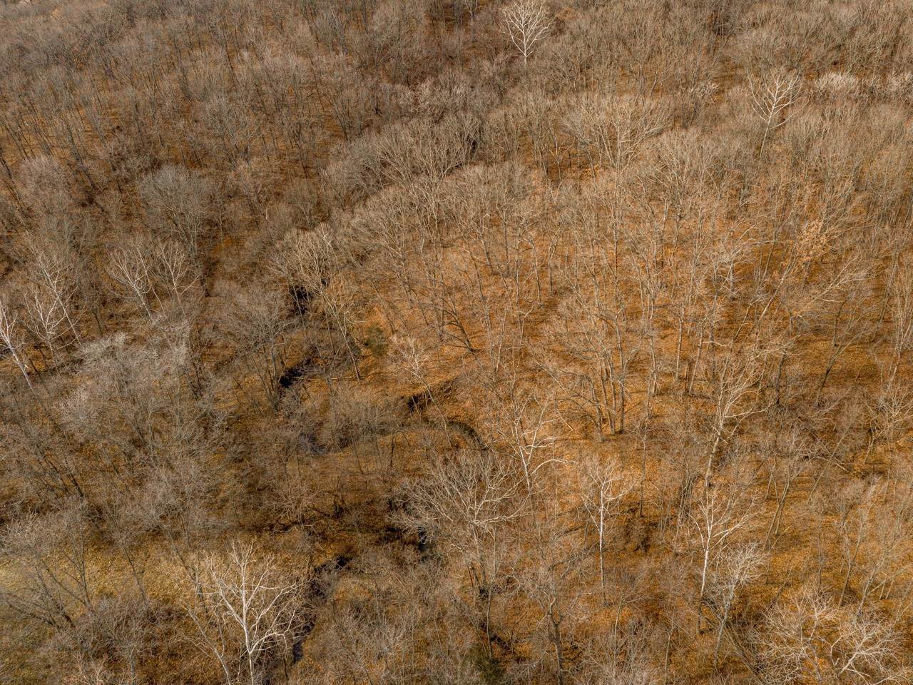 0 Spring Creek Road Camden, IL 62319 - Photo 23 of 50