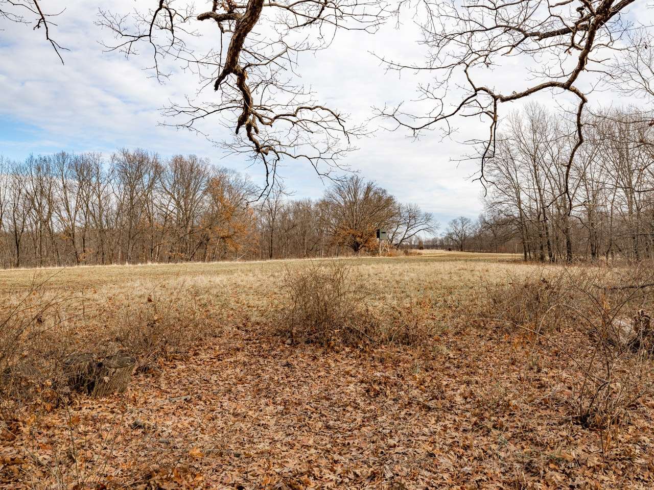 0 Spring Creek Road Camden, IL 62319 - Photo 29 of 50
