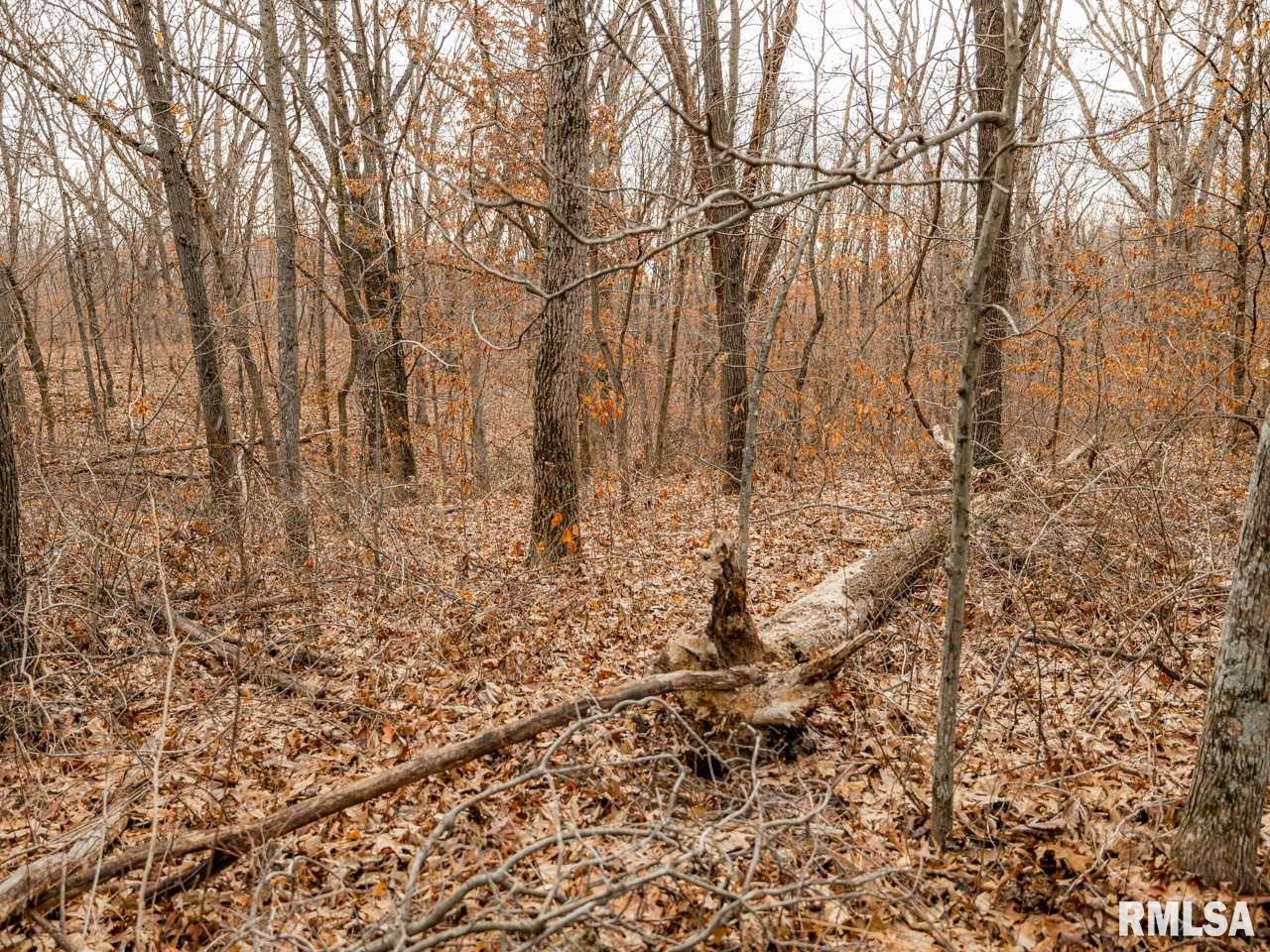 0 Spring Creek Road Camden, IL 62319 - Photo 30 of 50