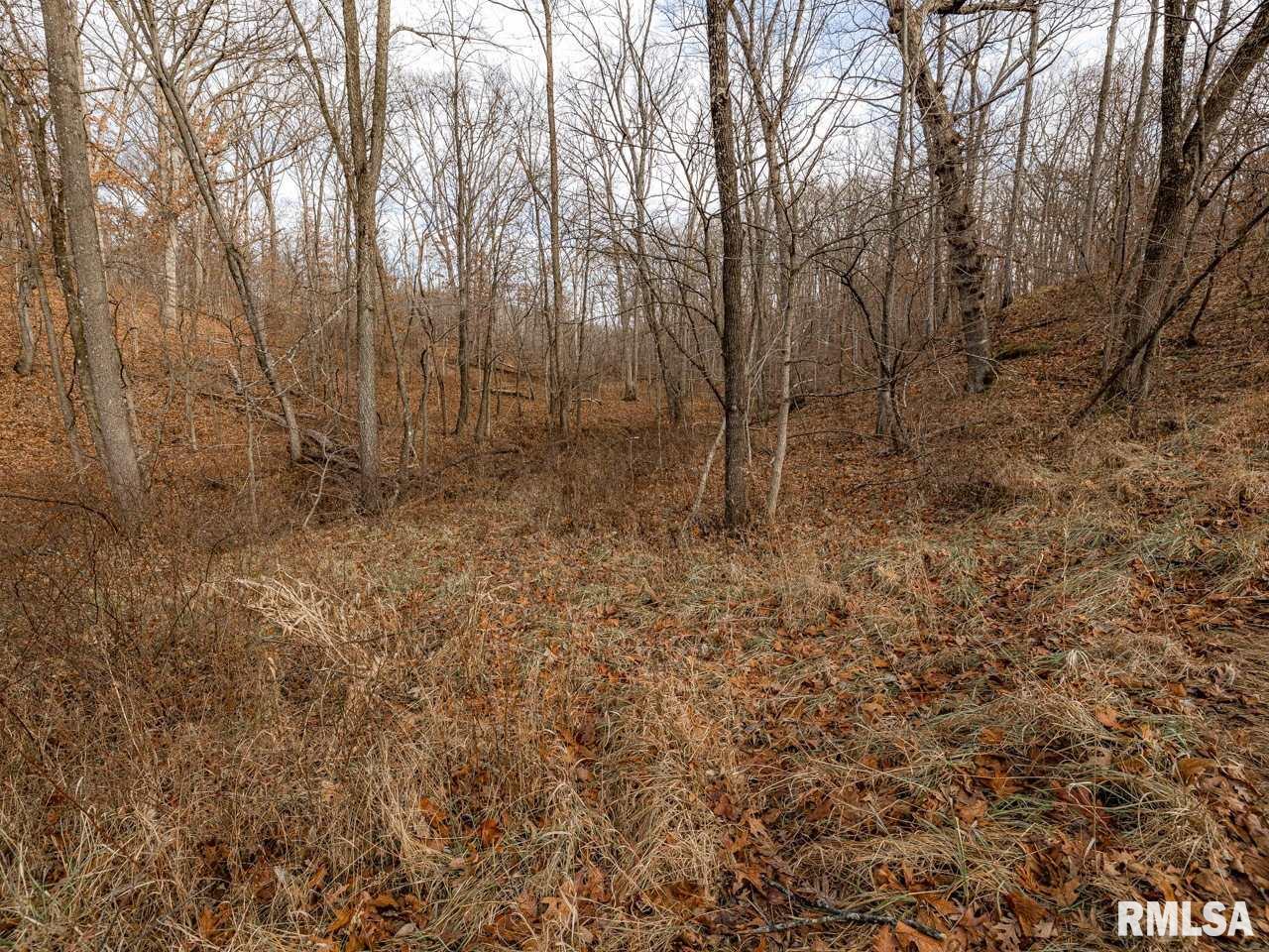 0 Spring Creek Road Camden, IL 62319 - Photo 34 of 50