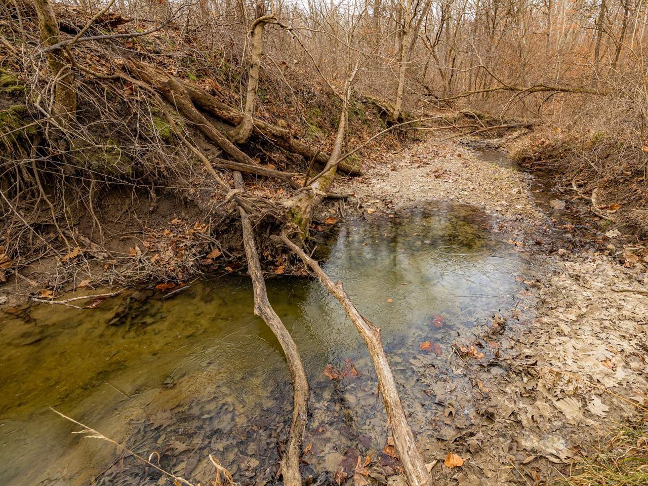 0 Spring Creek Road Camden, IL 62319 - Photo 38 of 50
