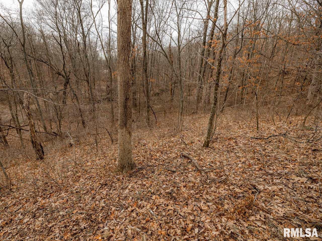 0 Spring Creek Road Camden, IL 62319 - Photo 41 of 50