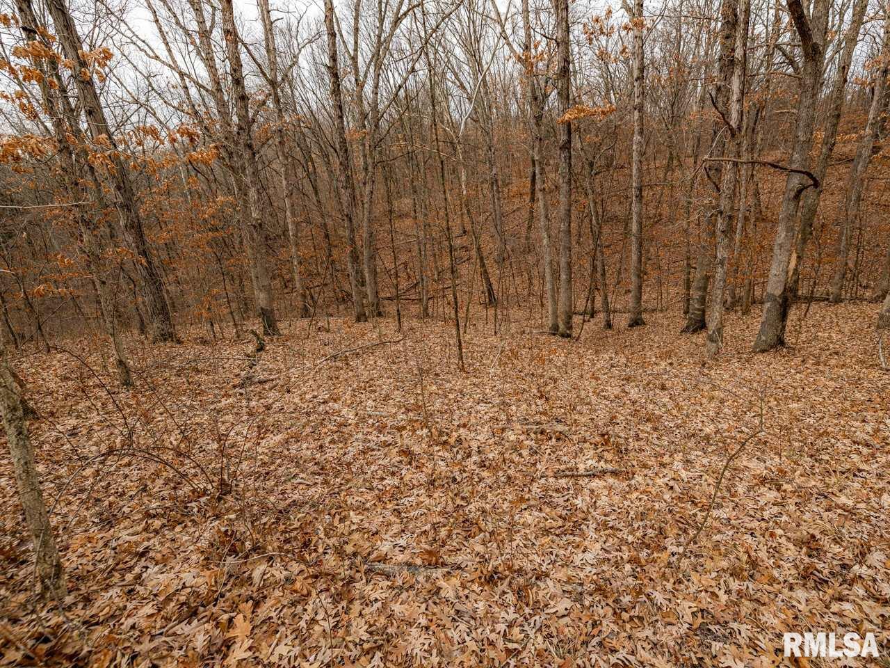 0 Spring Creek Road Camden, IL 62319 - Photo 42 of 50