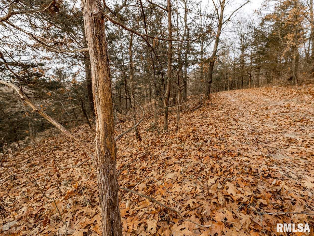 0 Spring Creek Road Camden, IL 62319 - Photo 45 of 50