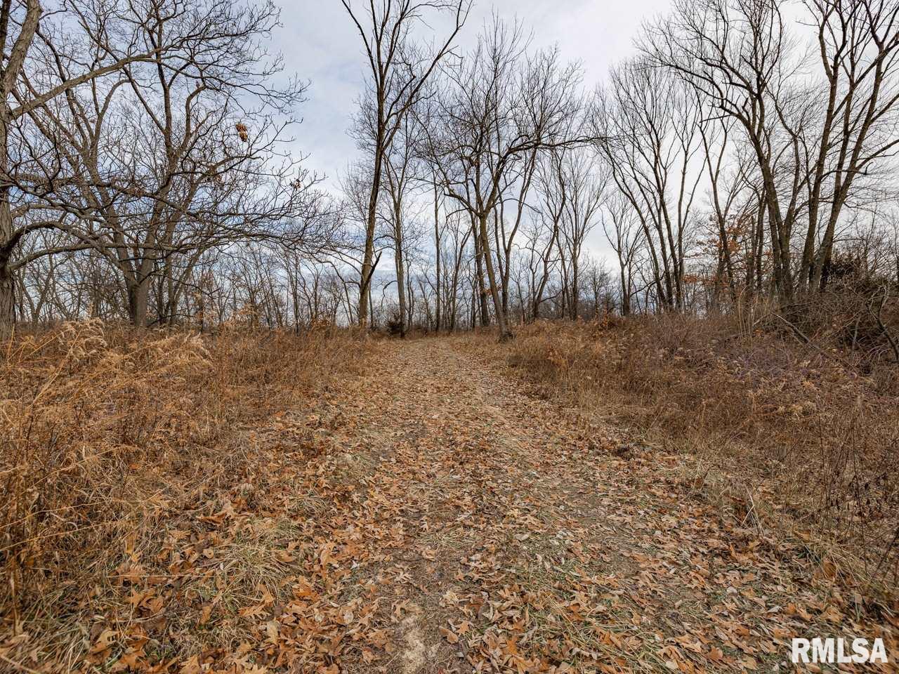 0 Spring Creek Road Camden, IL 62319 - Photo 46 of 50