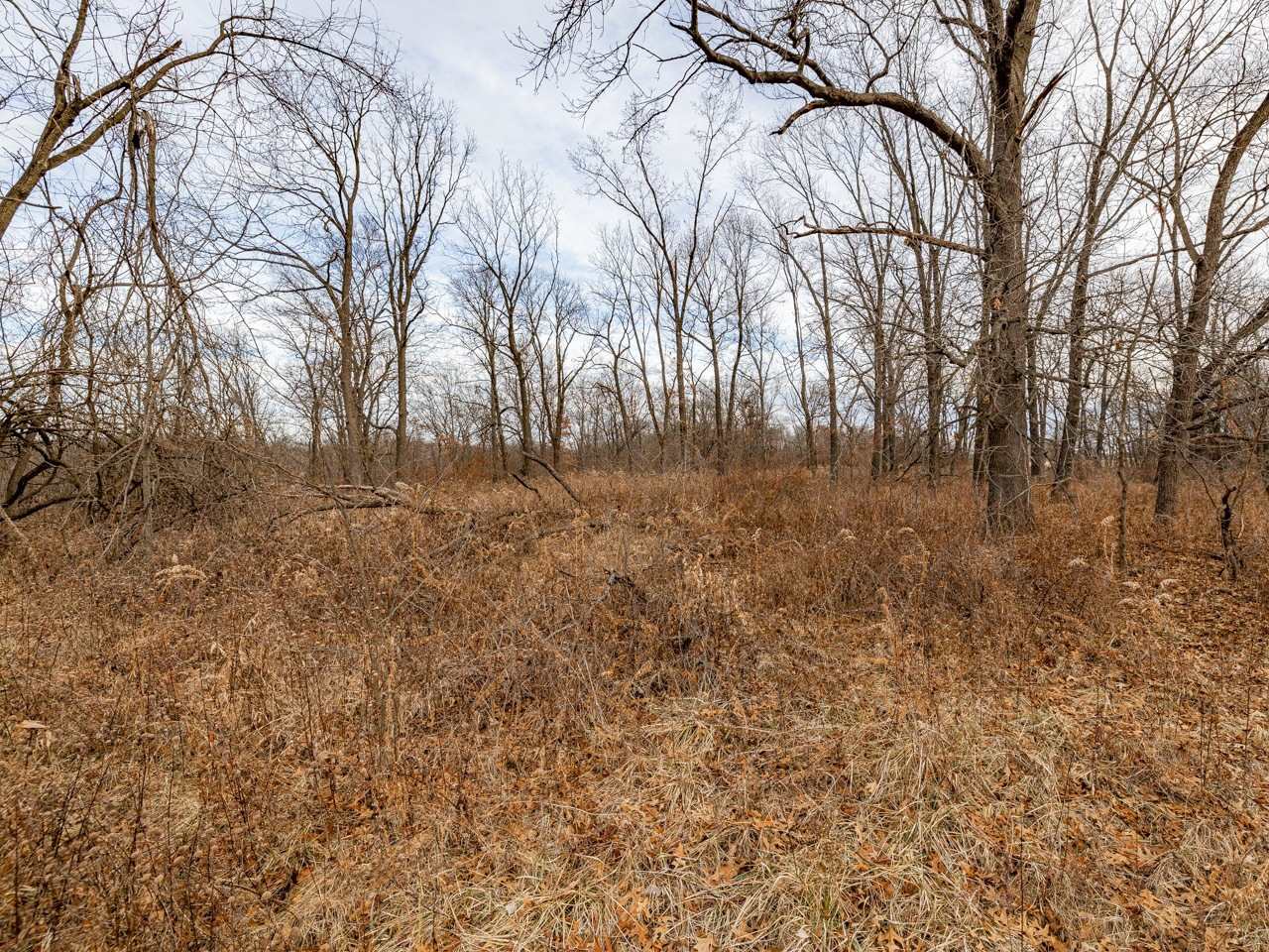 0 Spring Creek Road Camden, IL 62319 - Photo 48 of 50