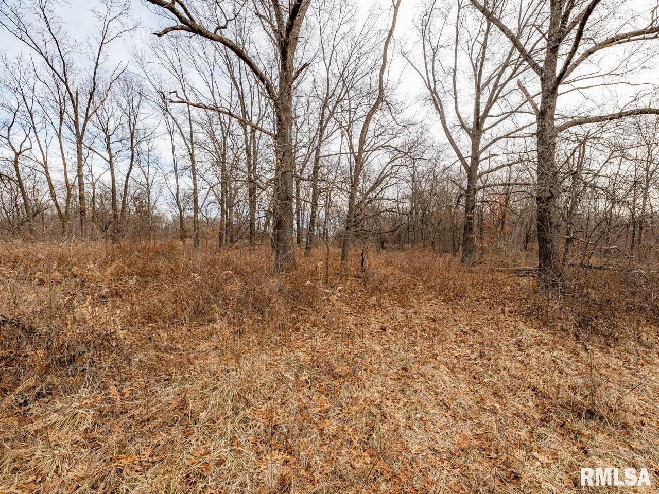0 Spring Creek Road Camden, IL 62319 - Photo 49 of 50