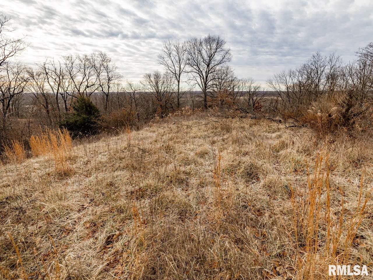 0 Spring Creek Road Camden, IL 62319 - Photo 50 of 50