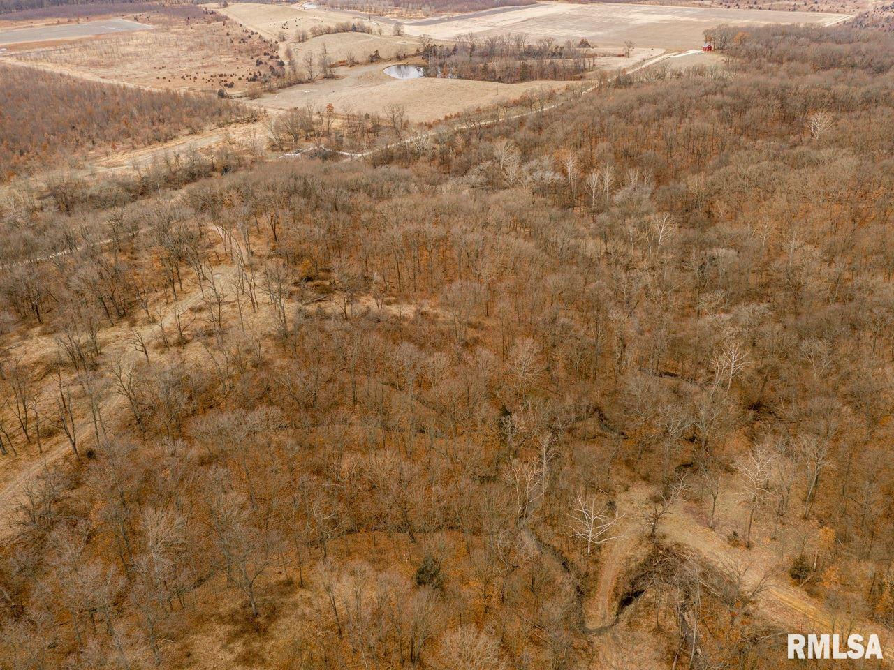 0 Spring Creek Road Camden, IL 62319 - Photo 5 of 50