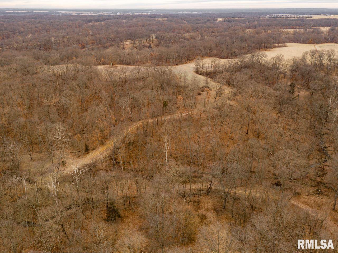 0 Spring Creek Road Camden, IL 62319 - Photo 6 of 50