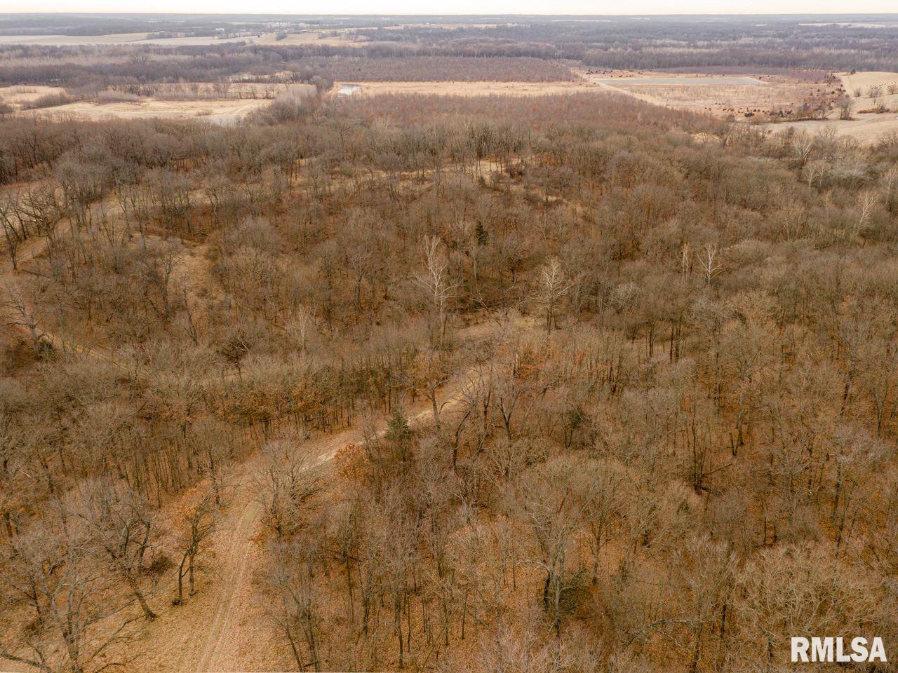 0 Spring Creek Road Camden, IL 62319 - Photo 7 of 50