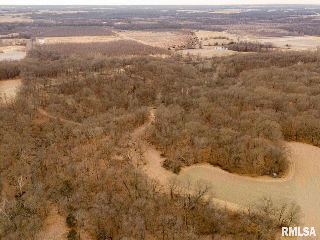0 Spring Creek Road Camden, IL 62319 - Photo 8 of 50