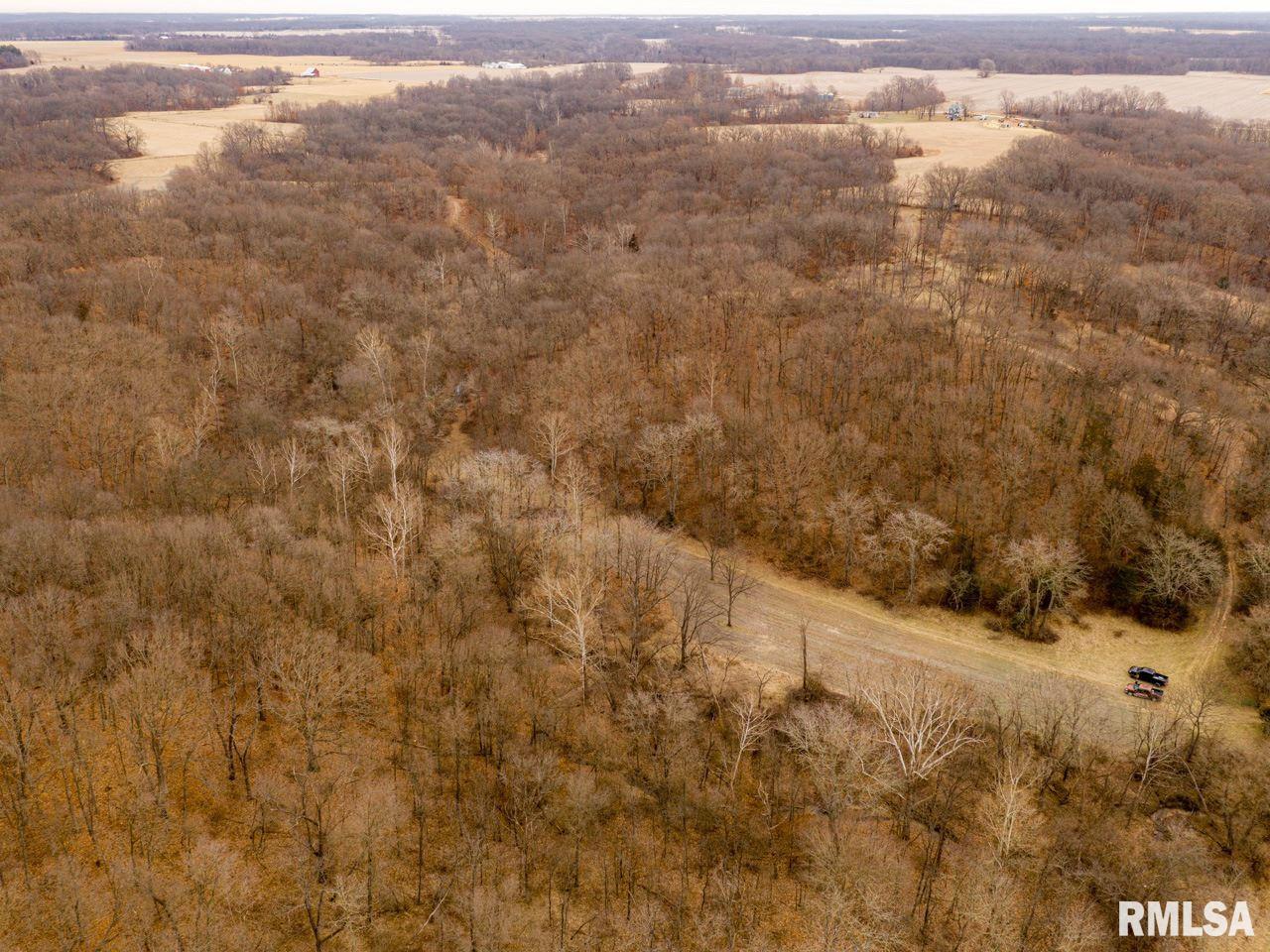 0 Spring Creek Road Camden, IL 62319 - Photo 10 of 50