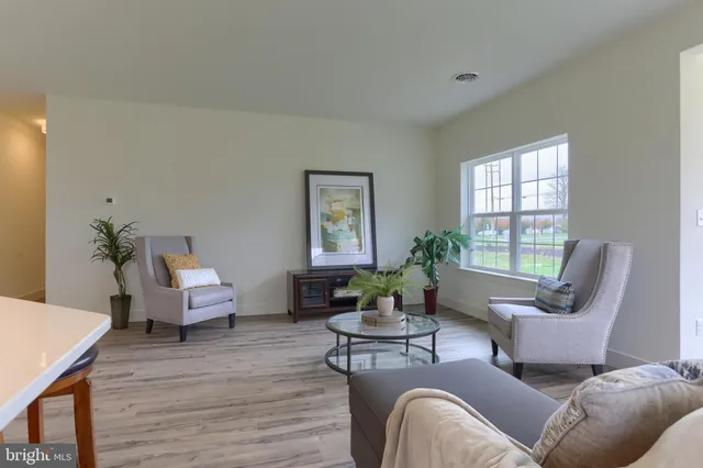 a living room with furniture or couch and a potted plant