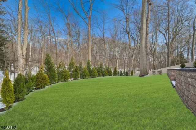 a view of a backyard with a garden