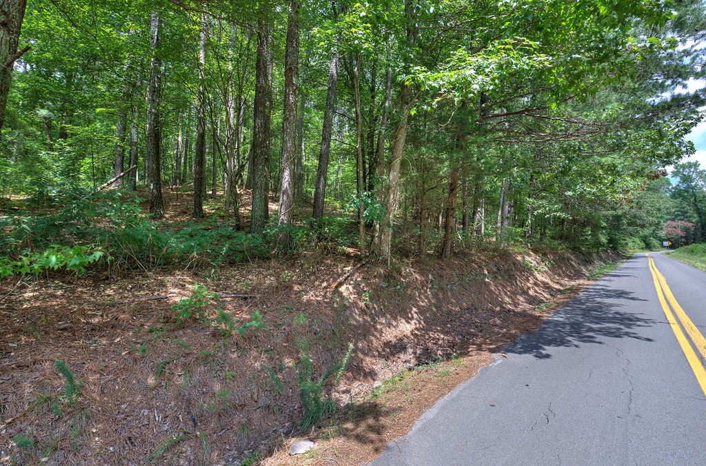 4677 Everett Springs Road, Unit TRACT 6 Armuchee, GA 30105 - Photo 24 of 38 Gallery Image 24