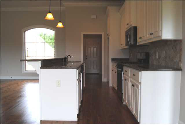 1840 August Bend Madison, MS 39110 - Photo 4 of 5 Photo 4