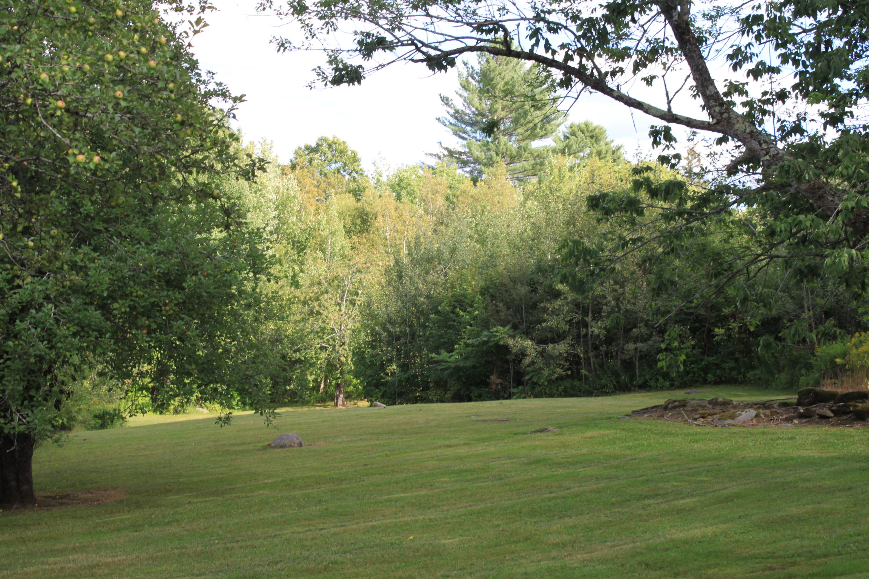 209 Medford Road Lagrange, ME 04453 - Photo 13 of 32 IMG_0276