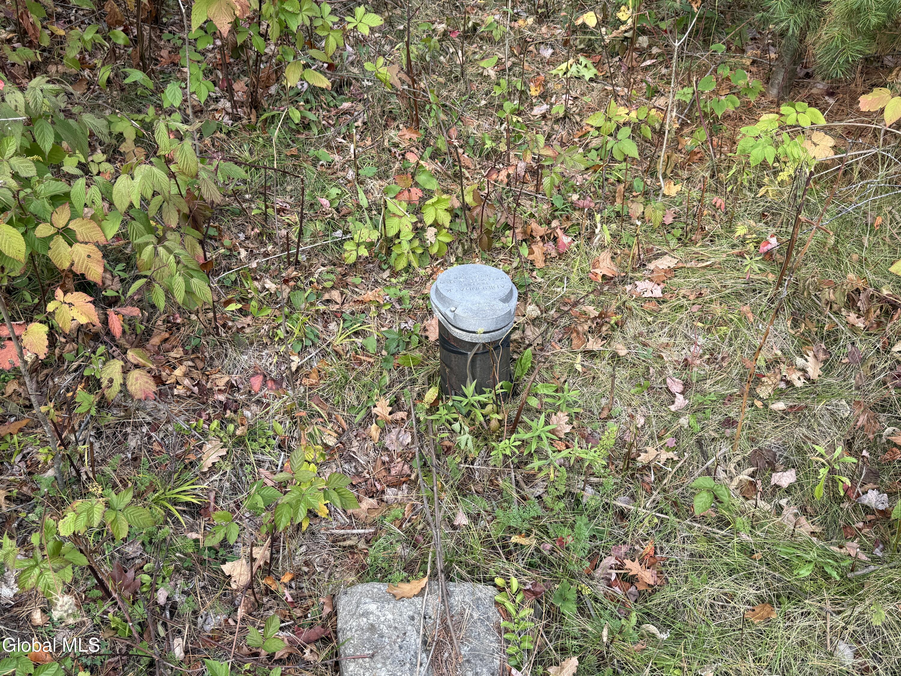 244 Sweet Road Johnstown, NY 12095 - Photo 26 of 30 IMG_0773