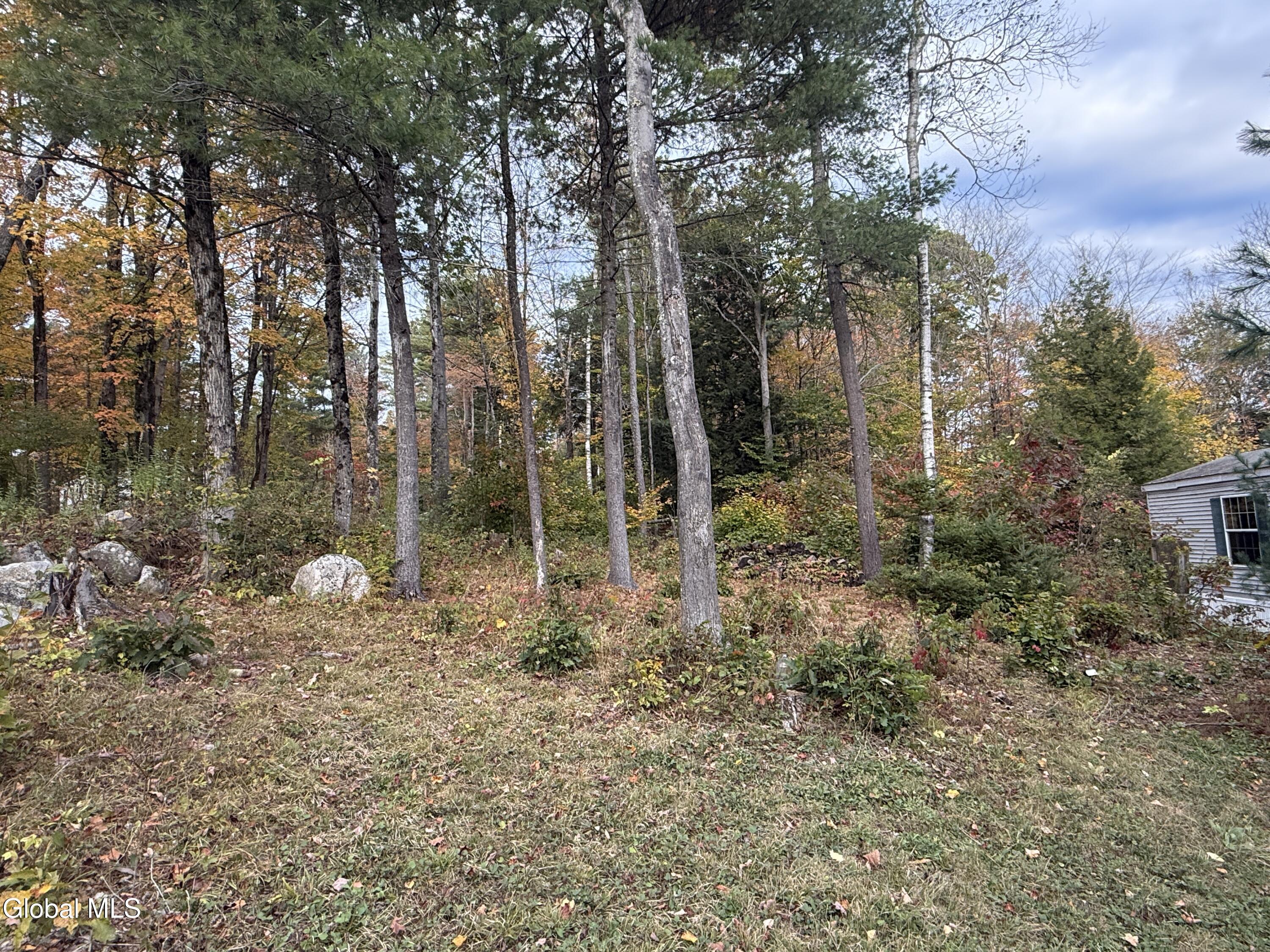 244 Sweet Road Johnstown, NY 12095 - Photo 4 of 30 IMG_0765