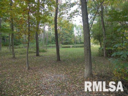 12175 Hudgens Road Marion, IL 62959 - Photo 4 of 13 Gallery Image 4
