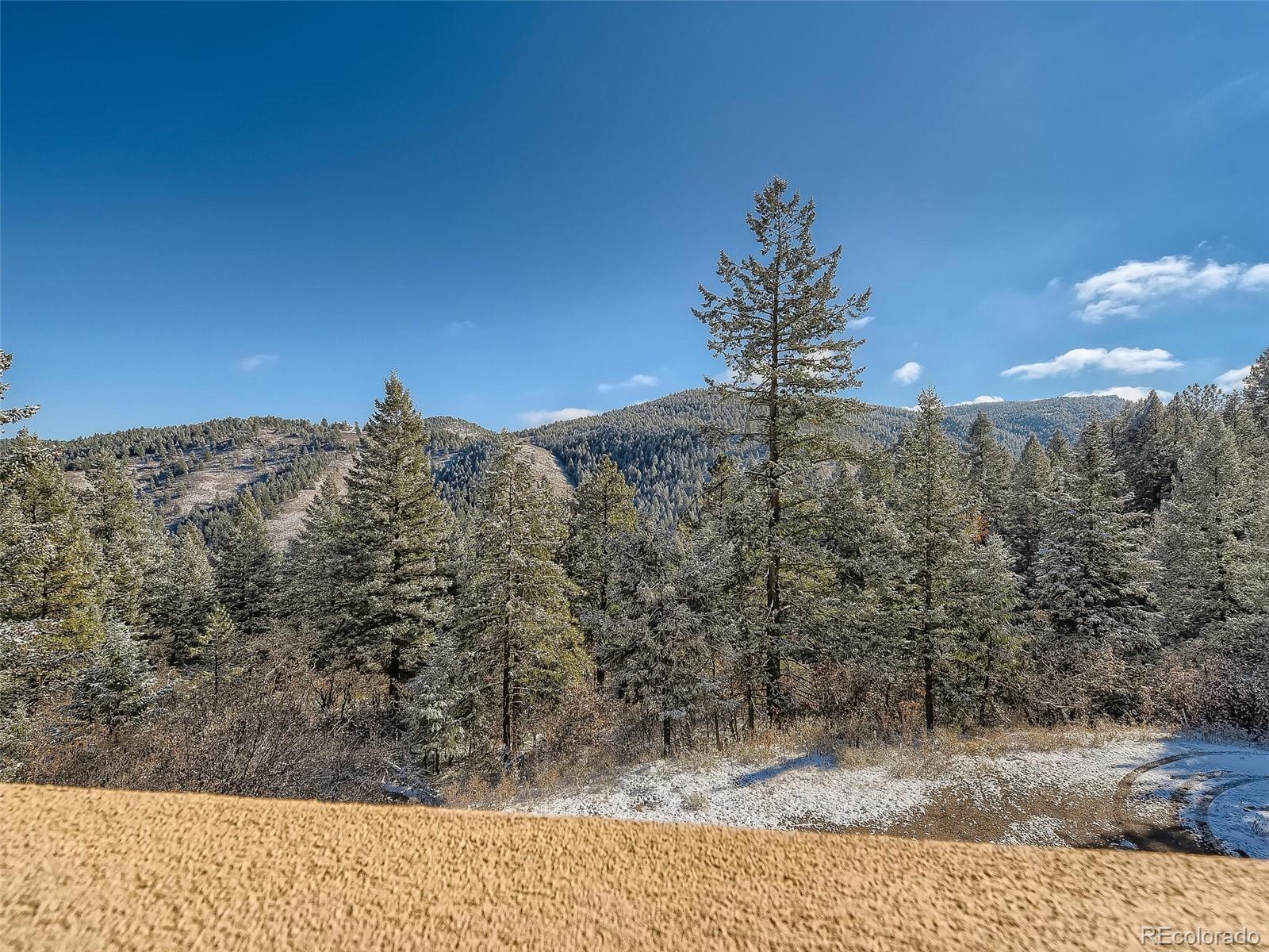 16765 High Grade Road Littleton, CO 80127 - Photo 4 of 33 Gallery Image 4