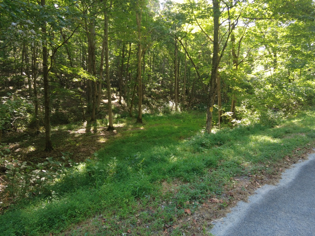 16 Black Hollow Road Peebles, OH 45660 - Photo 3 of 39