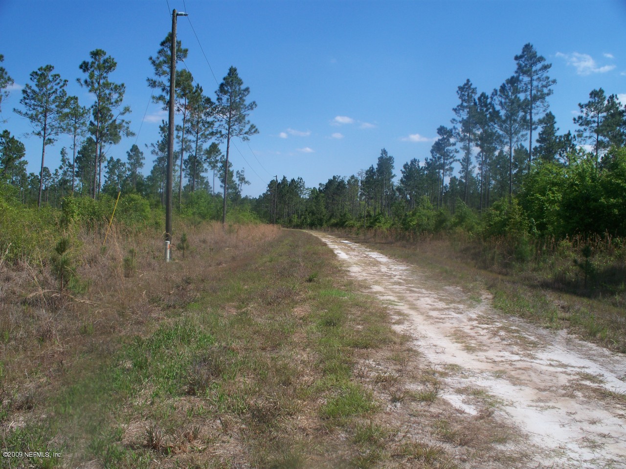 Tbd Silver Maple Road Glen St. Mary, FL 32040 - Photo 3 of 3 Silver Maple