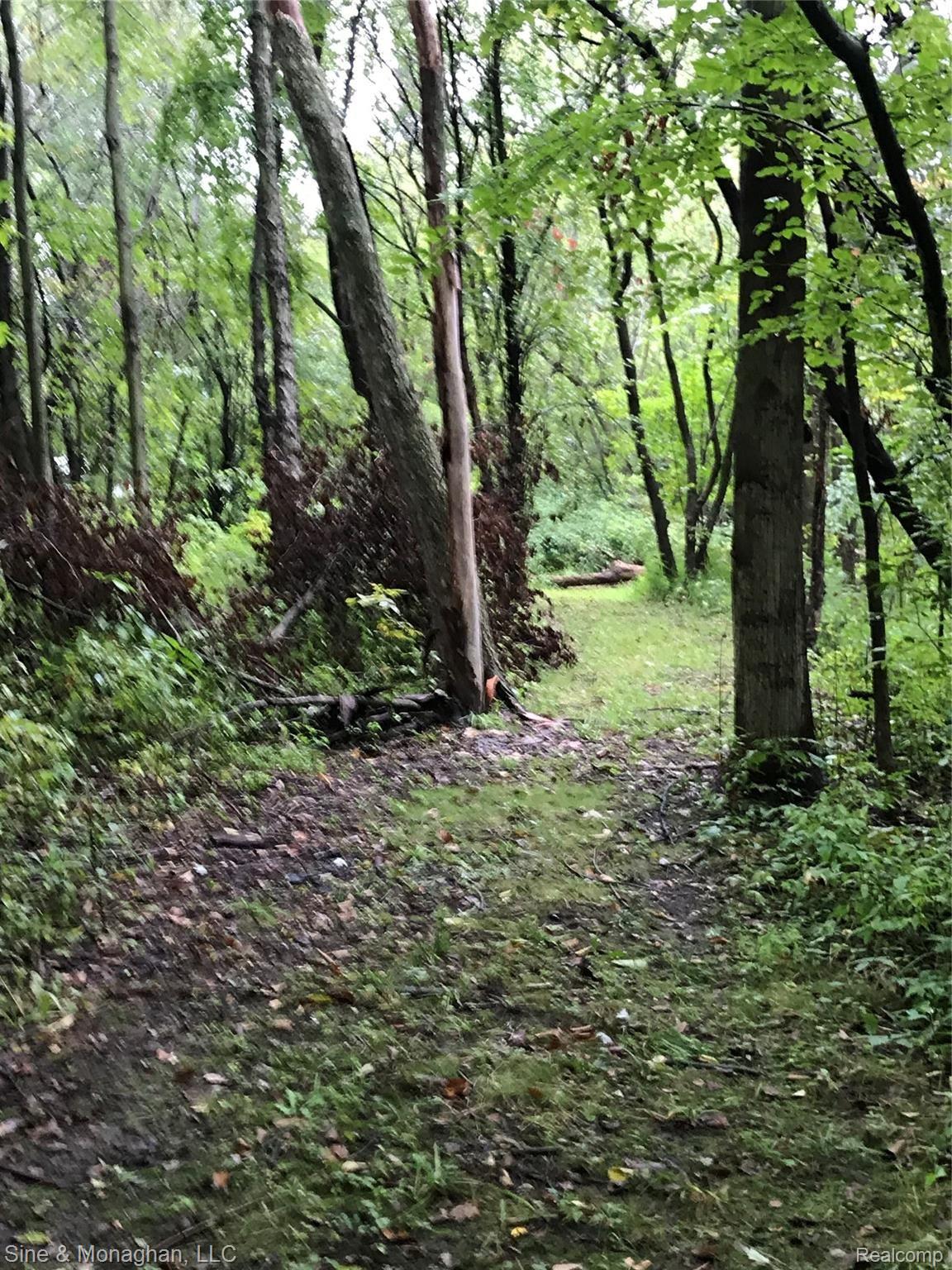 8250 Rattle Run Road Columbus, MI 48063 - Photo 42 of 45 IMG_8182.jpeg