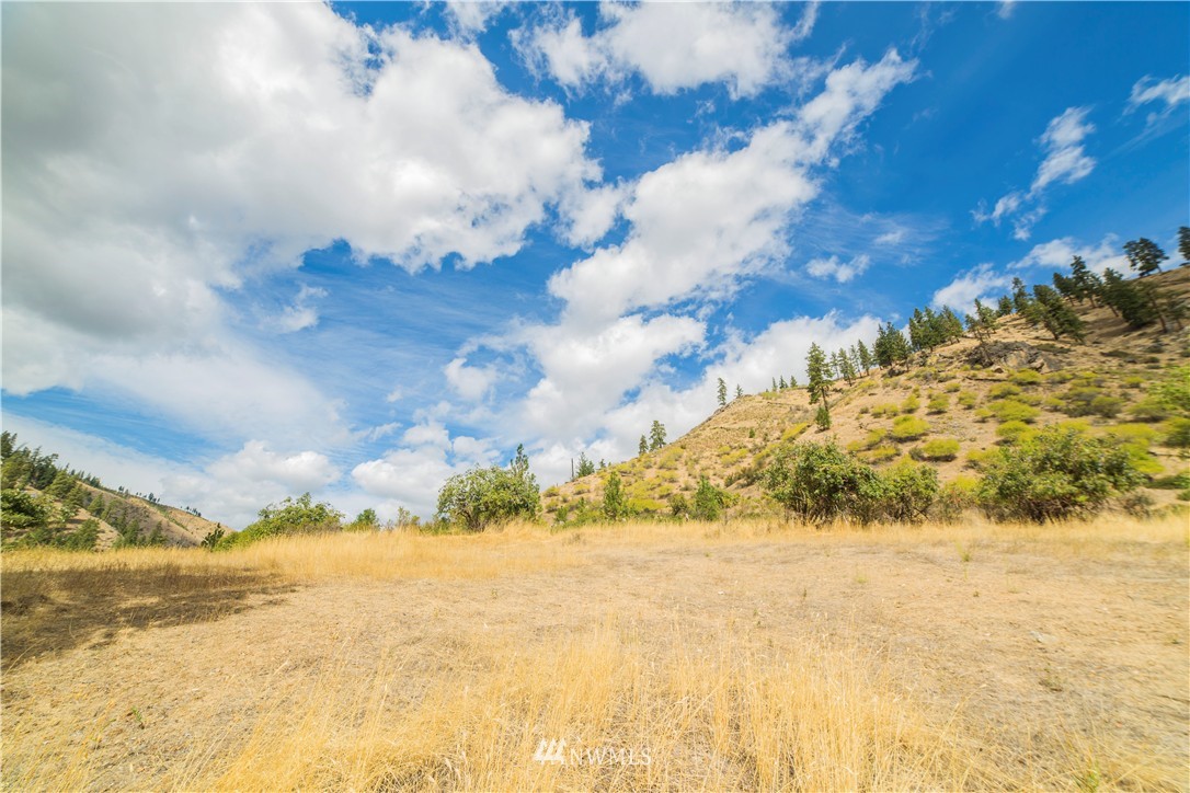 10864 Entiat River Road Entiat, WA 98822 - Photo 4 of 10 Gallery Image 4