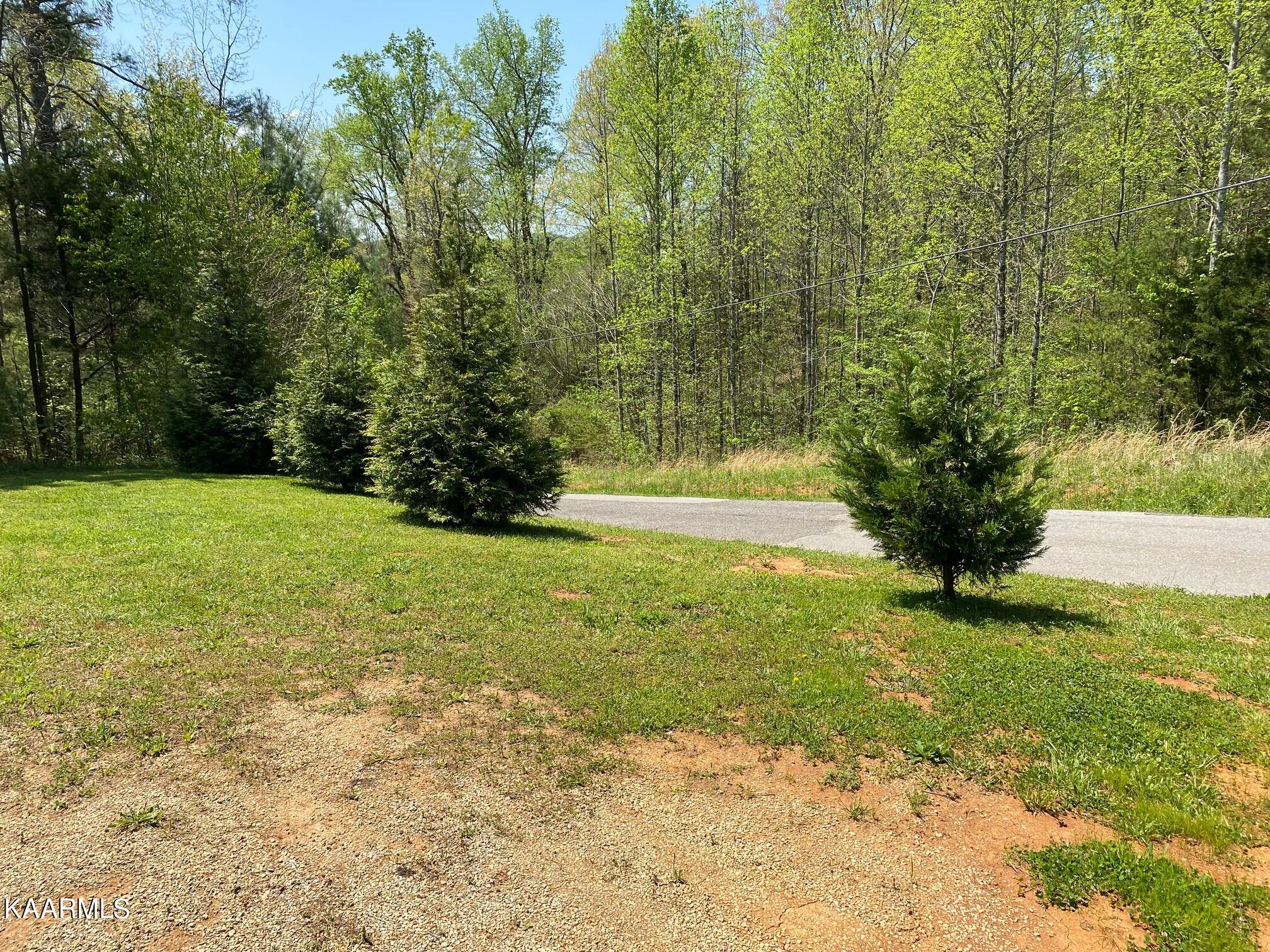 579 New Providence Road Tellico Plains, TN 37385 - Photo 17 of 17 IMG_7163