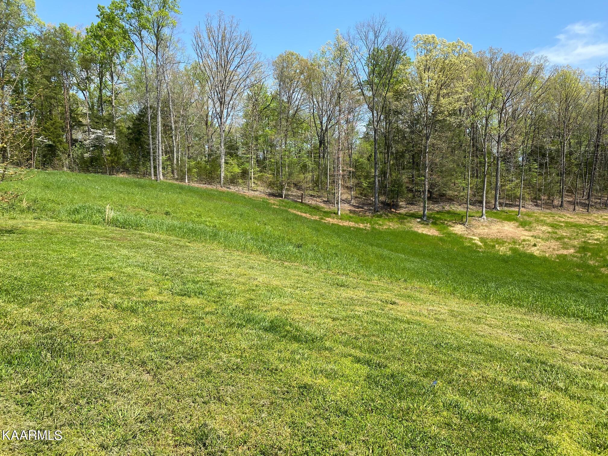 579 New Providence Road Tellico Plains, TN 37385 - Photo 2 of 17 IMG_7140