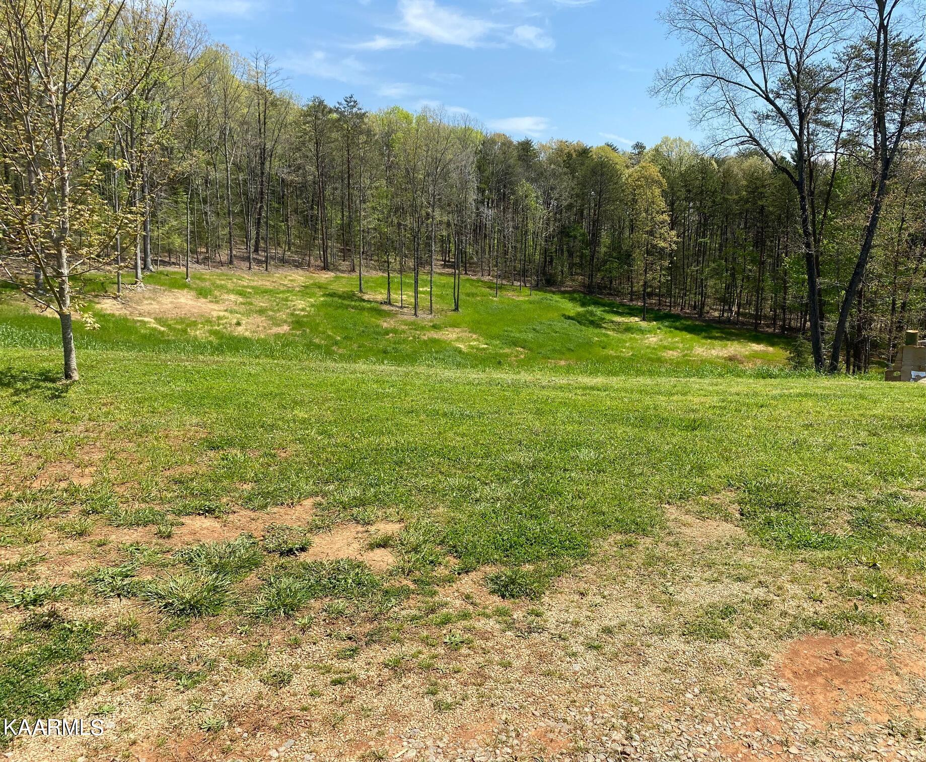 579 New Providence Road Tellico Plains, TN 37385 - Photo 3 of 17 IMG_7139