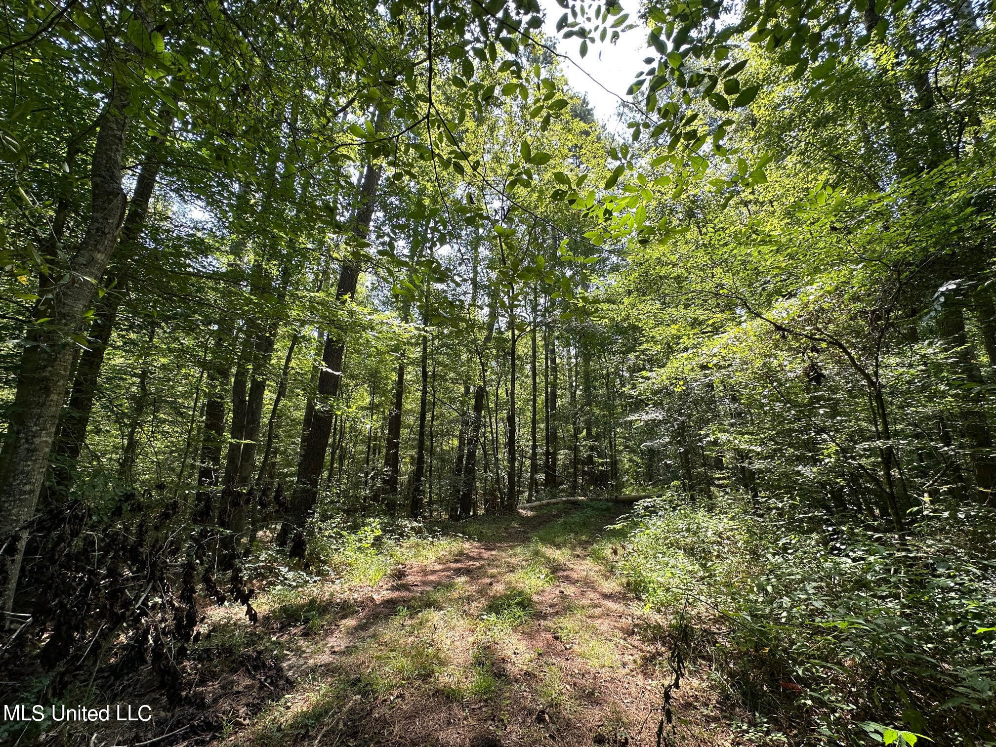 Natchez Trace Carthage, MS 39051 - Photo 18 of 26 18