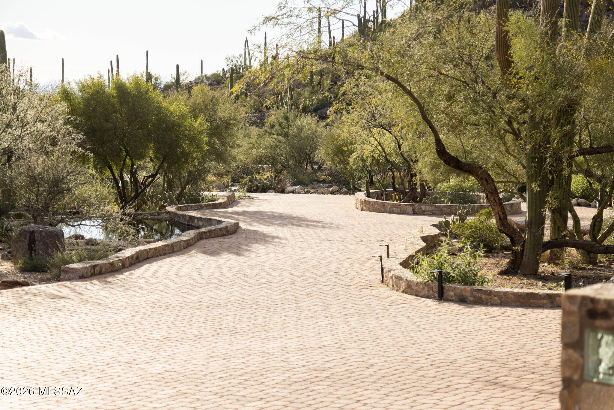 6550 North Rattlesnake Canyon Road Tucson, AZ 85750 - Photo 43 of 51 Paver-Lined Driveway