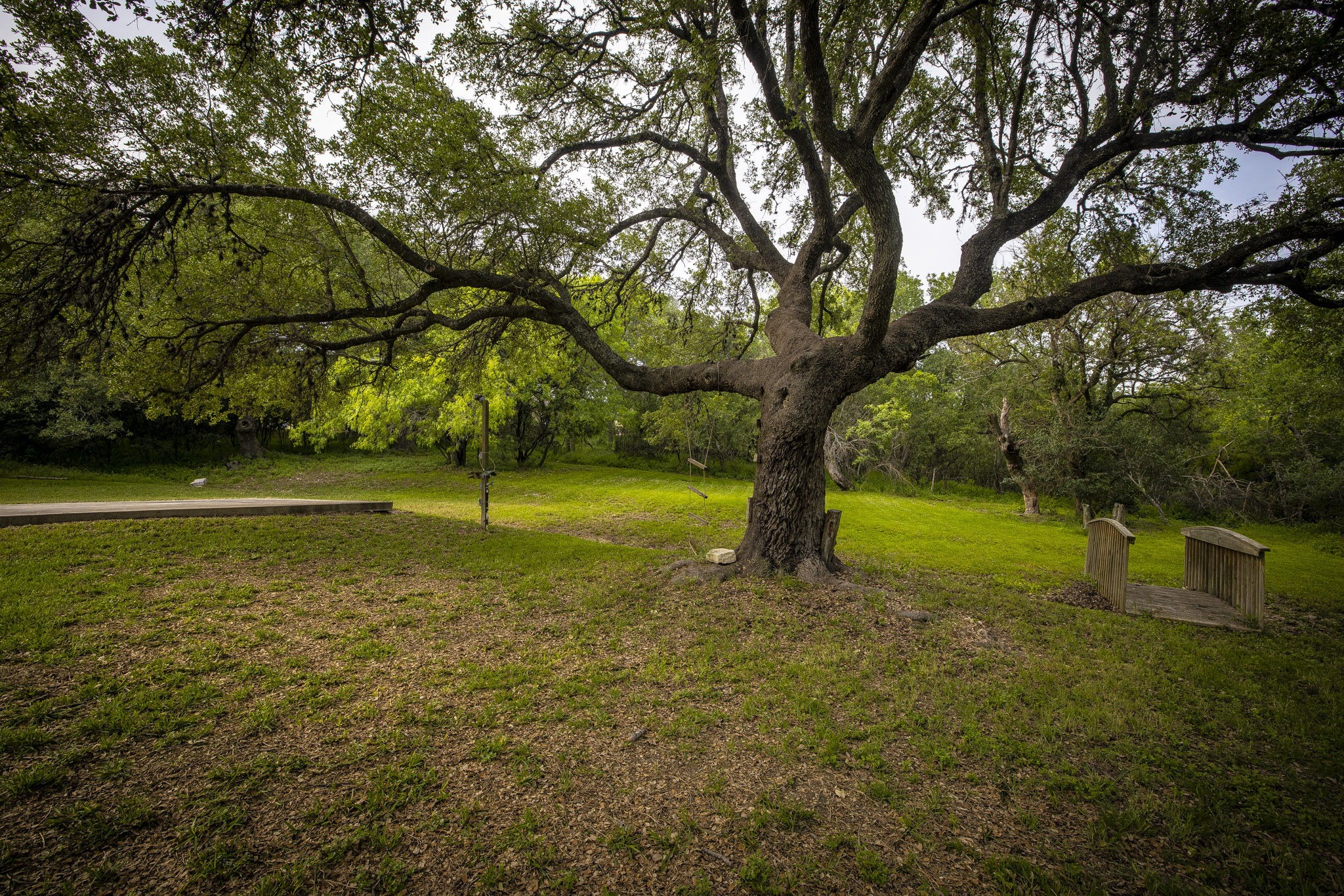 110 Hunter Ridge Road San Marcos, TX 78666 - Photo 35 of 40