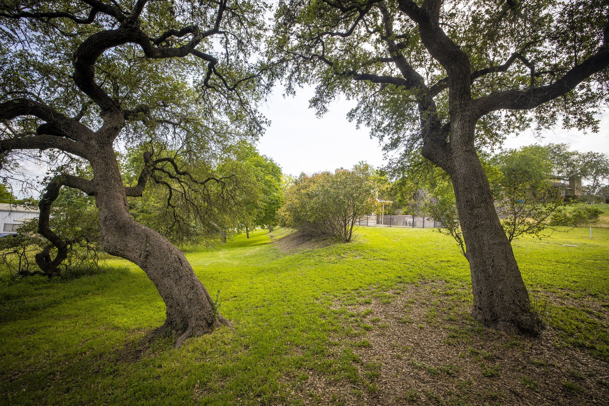 110 Hunter Ridge Road San Marcos, TX 78666 - Photo 4 of 40