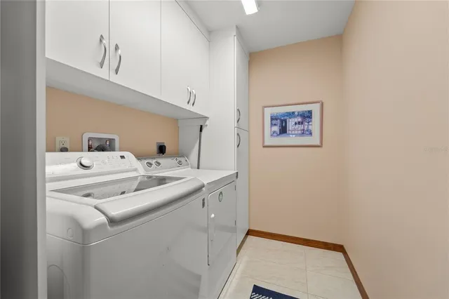 a living room filled with furniture and a potted plant